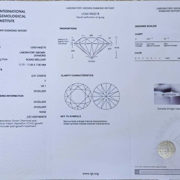 Ring Platinum - 6.29ct. tw. Diamond (Lab-grown) - Diamond - Exceptional Ring - Image 5